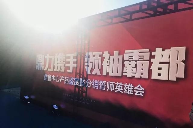 鼎力攜手，領袖霸都！合肥鼎鑫中心產品鑒賞暨分銷誓師英雄會圓滿落幕！