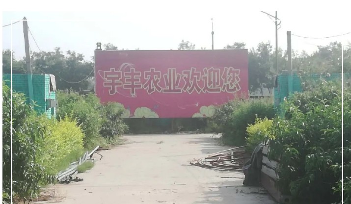 建一個(gè)市場(chǎng)、興一方產(chǎn)業(yè)、富一方百姓,孝義農(nóng)產(chǎn)品大市場(chǎng)產(chǎn)供銷(xiāo)一體化在行動(dòng)!
