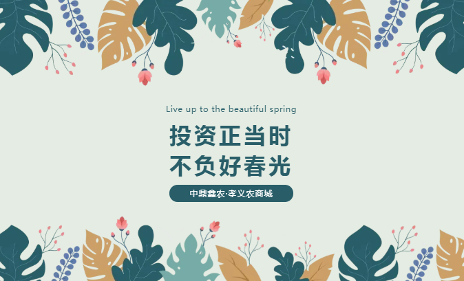 孝義唯一大產(chǎn)權(quán)的農(nóng)批商鋪，投資有保障！